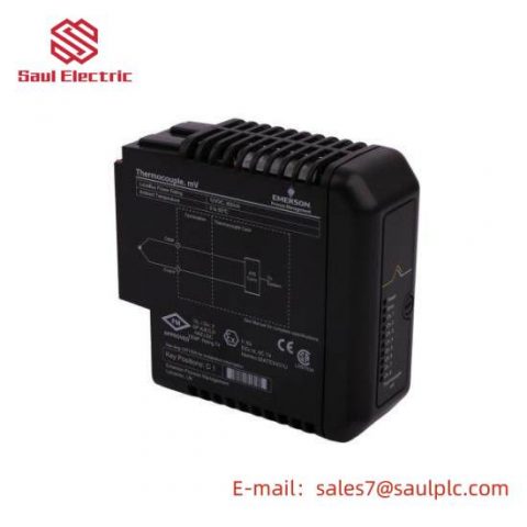 EMERSON KJ3002X1-BG2 | 12P1731X062 Thermocouple Module