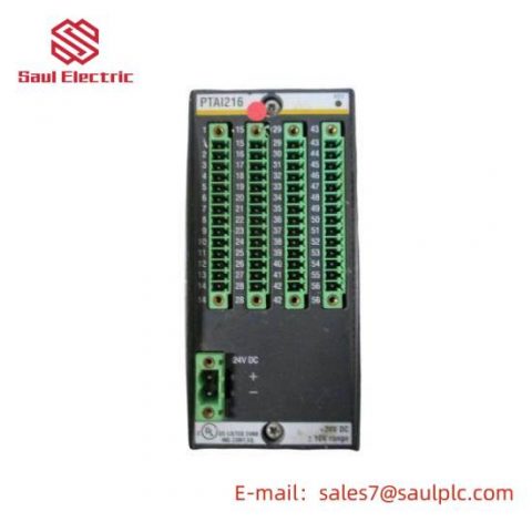 Bachmann PAAI216 Analog Input/Output Modules