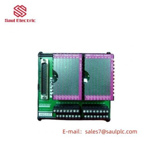 Foxboro P0916BT - I/A Series Control Module