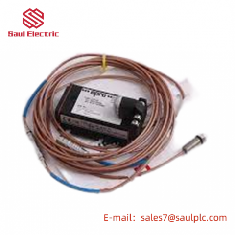 Emerson 44A747151-059 Travel & Living Services Hourly Overtime Rate Controller