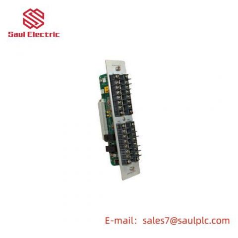 GE Bently Nevada 82365-01: Alarm Relay & Recorder Outputs / Dual Epoxy Relays