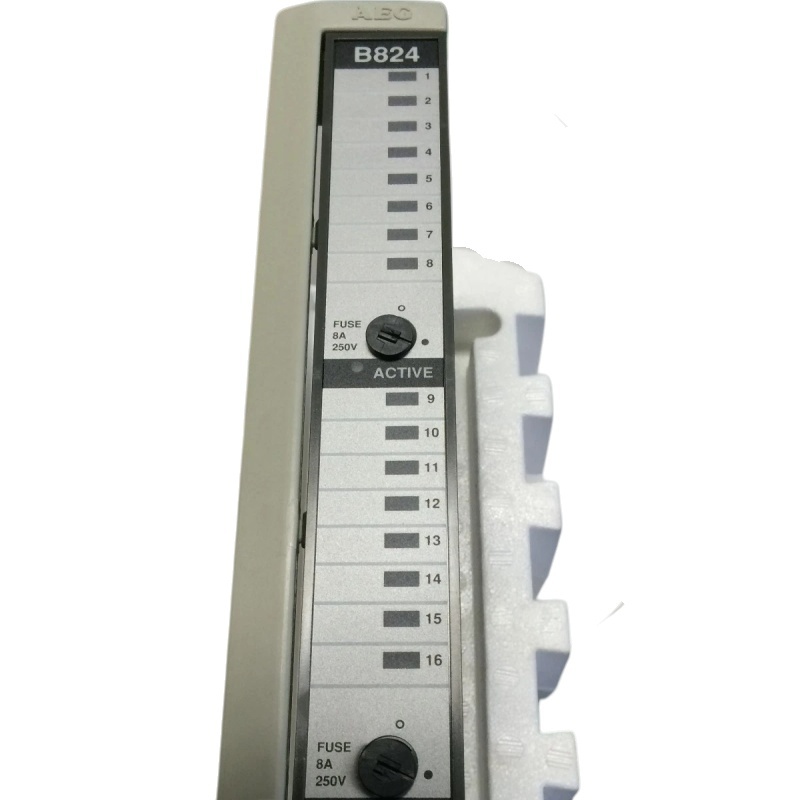 SCHNEIDER AS-B824-100(1) SCHNEIDER AS-B824-100